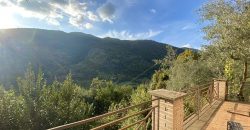 Genazzano: Villa Di Ampia Metratura Panoramicissima